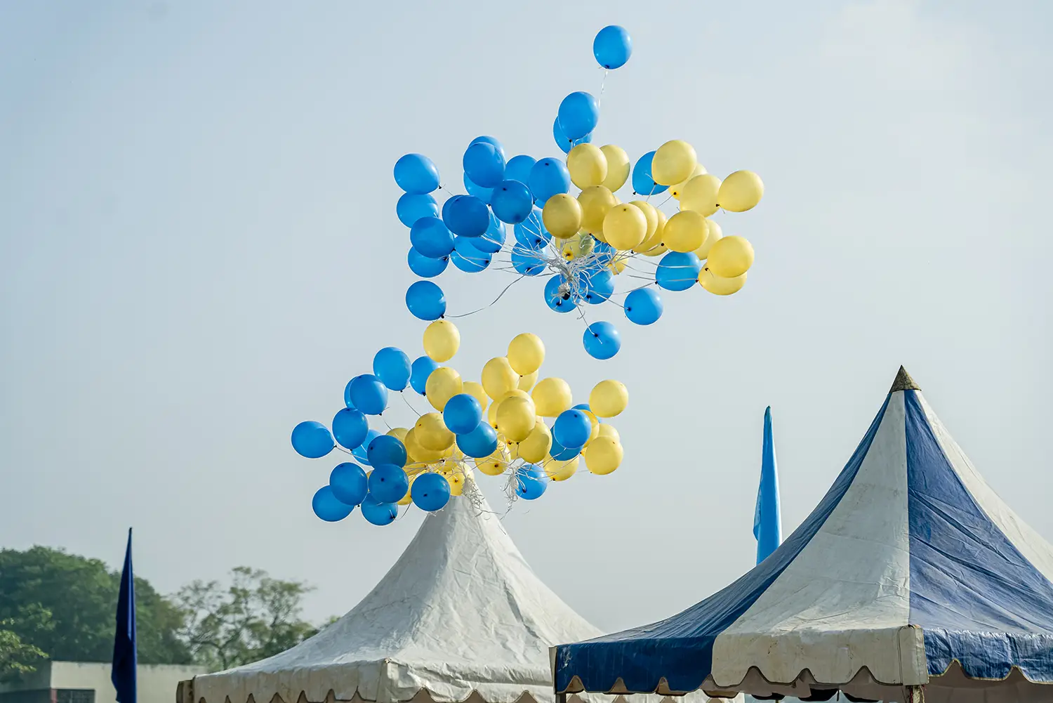 Annual Sports Day - Photo 25